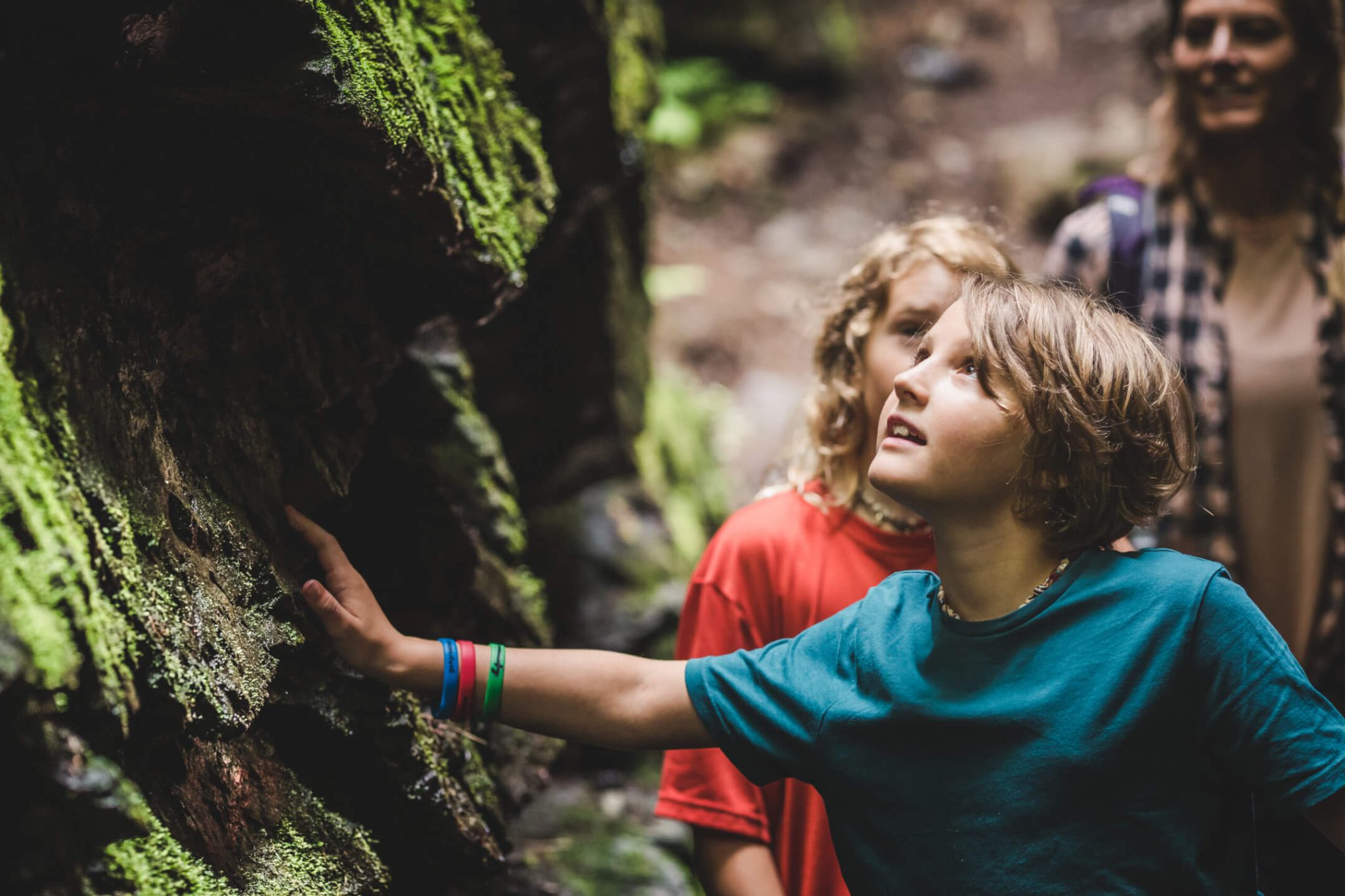 Kinder erkunden die Natur im Wald, umgeben von moosbedeckten Felsen.